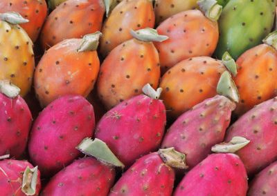 Cooking classes Palermo - Gallery: pic 11