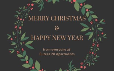 My Christmas Newsletter