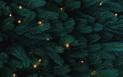 2021 Christmas Newsletter